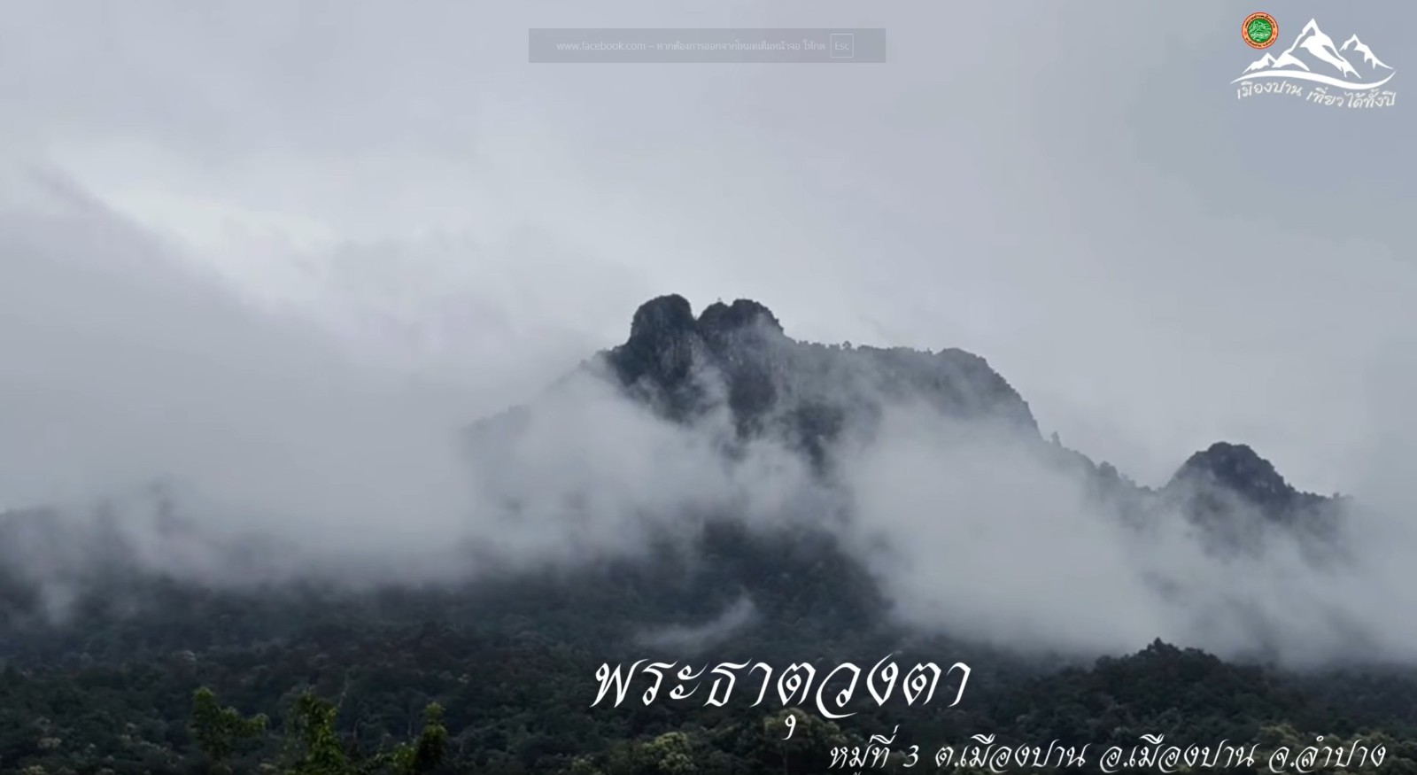 ภาพกิจกรรม